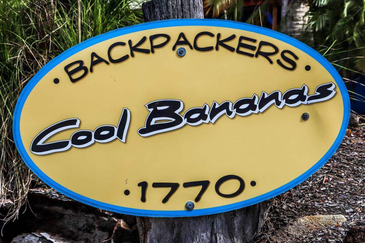 Cool Bananas Backpackers Hostel Agnes Water Exterior photo